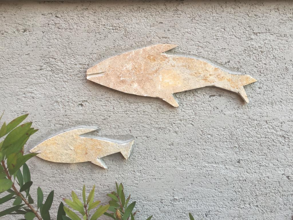 Guesthouse Tariba Supetarska Draga Εξωτερικό φωτογραφία